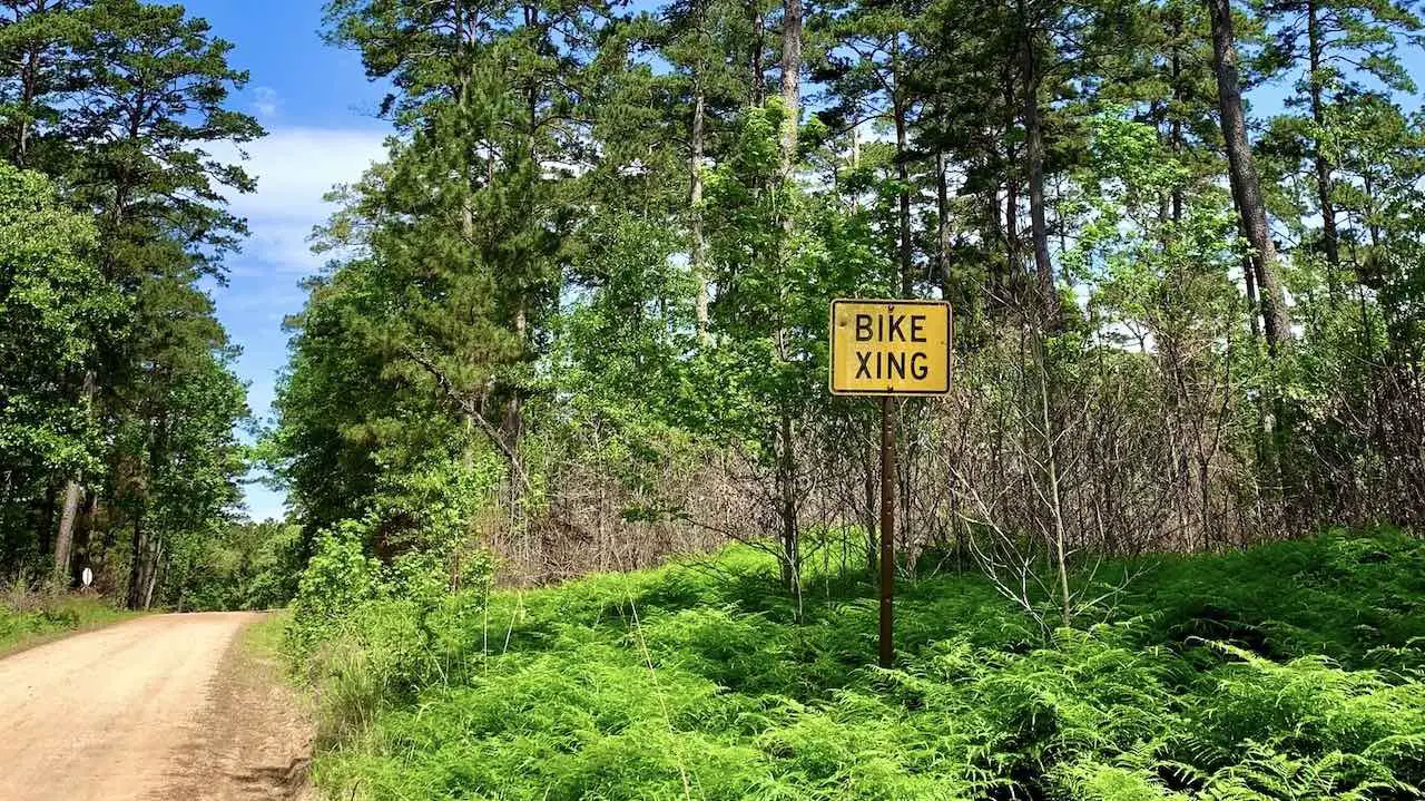 Dirt bike crossing sign next to a service road in Sam Houston National Forest